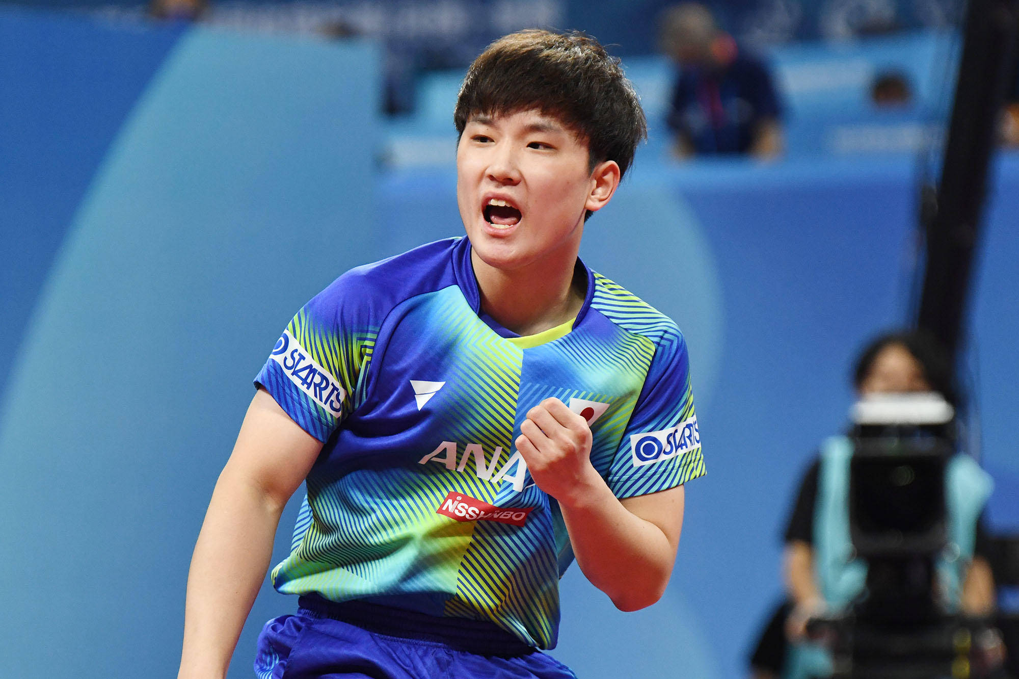 本土快马的 本土快马的