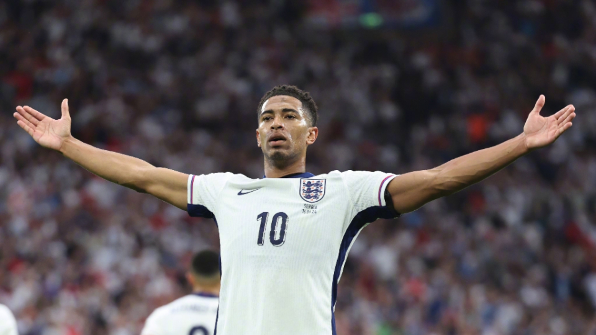 的运营组合 的运营组合